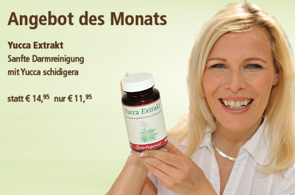 Angebot1
