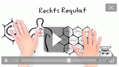 Rechtsregulat Video