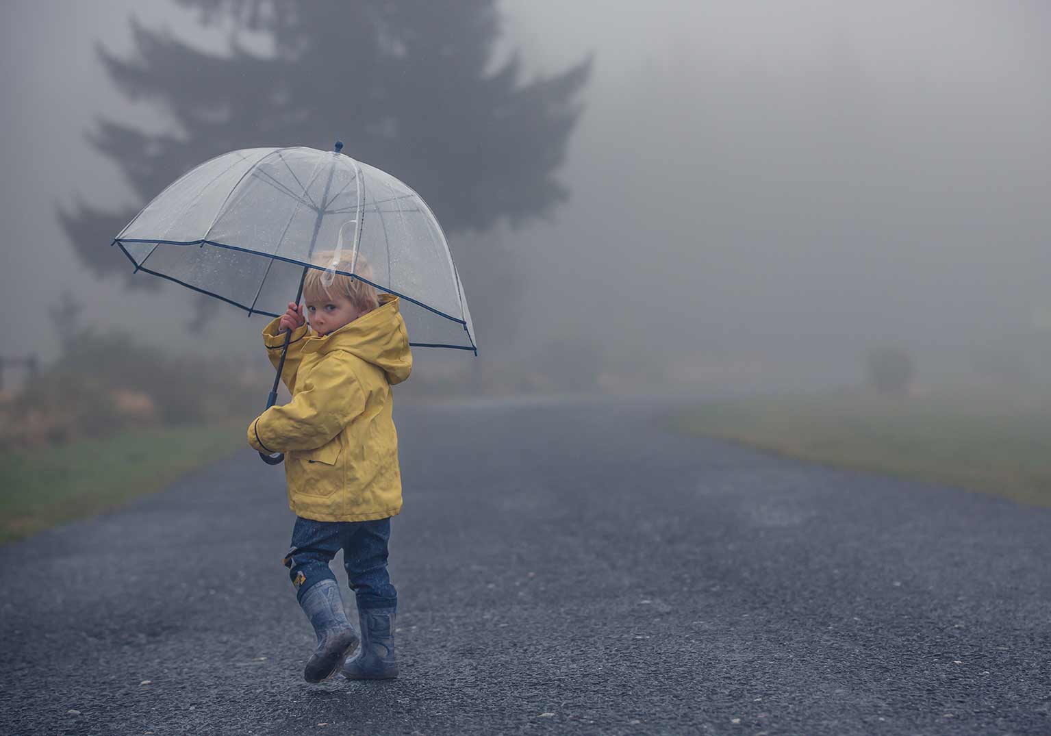 Tageslicht hilft gegen Winterdepression.