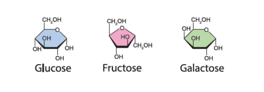 Zuckerarten Glucose Fructose Glactose Chemische Darstellung