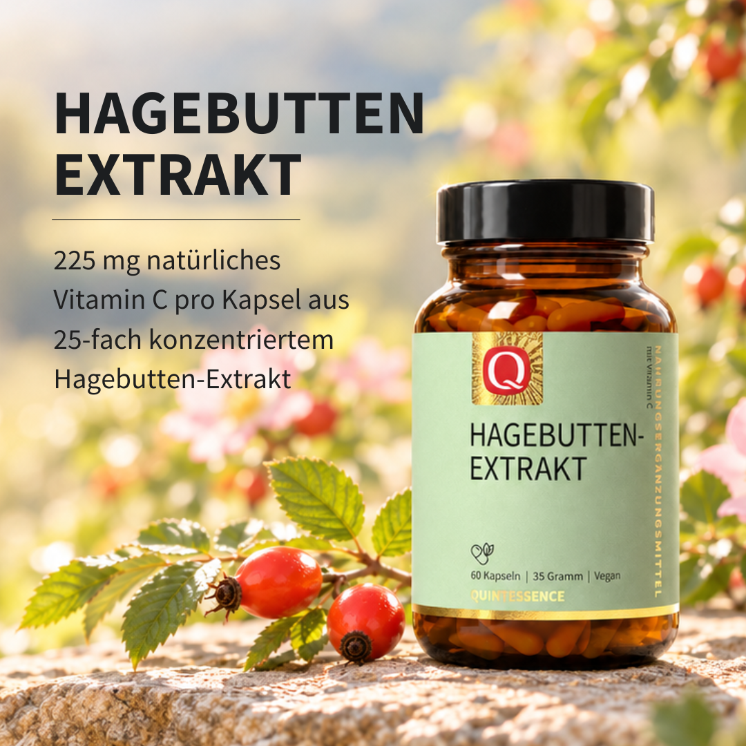 hagebutten extrakt