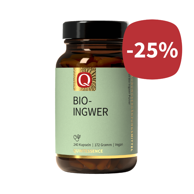 ingwer