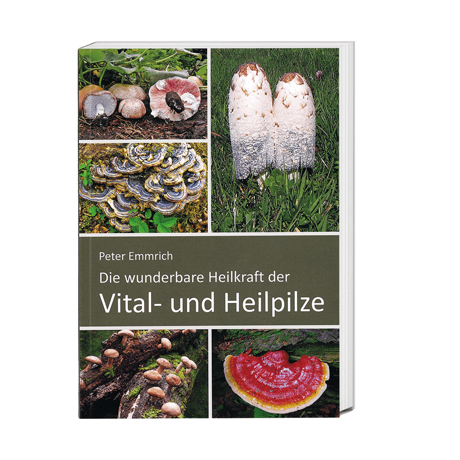 Die wunderbare Heilkraft der Vital- und Heilpilze, 136 Seiten Die wunderbare Heilkraft der Vital- und Heilpilze, 136 Seiten