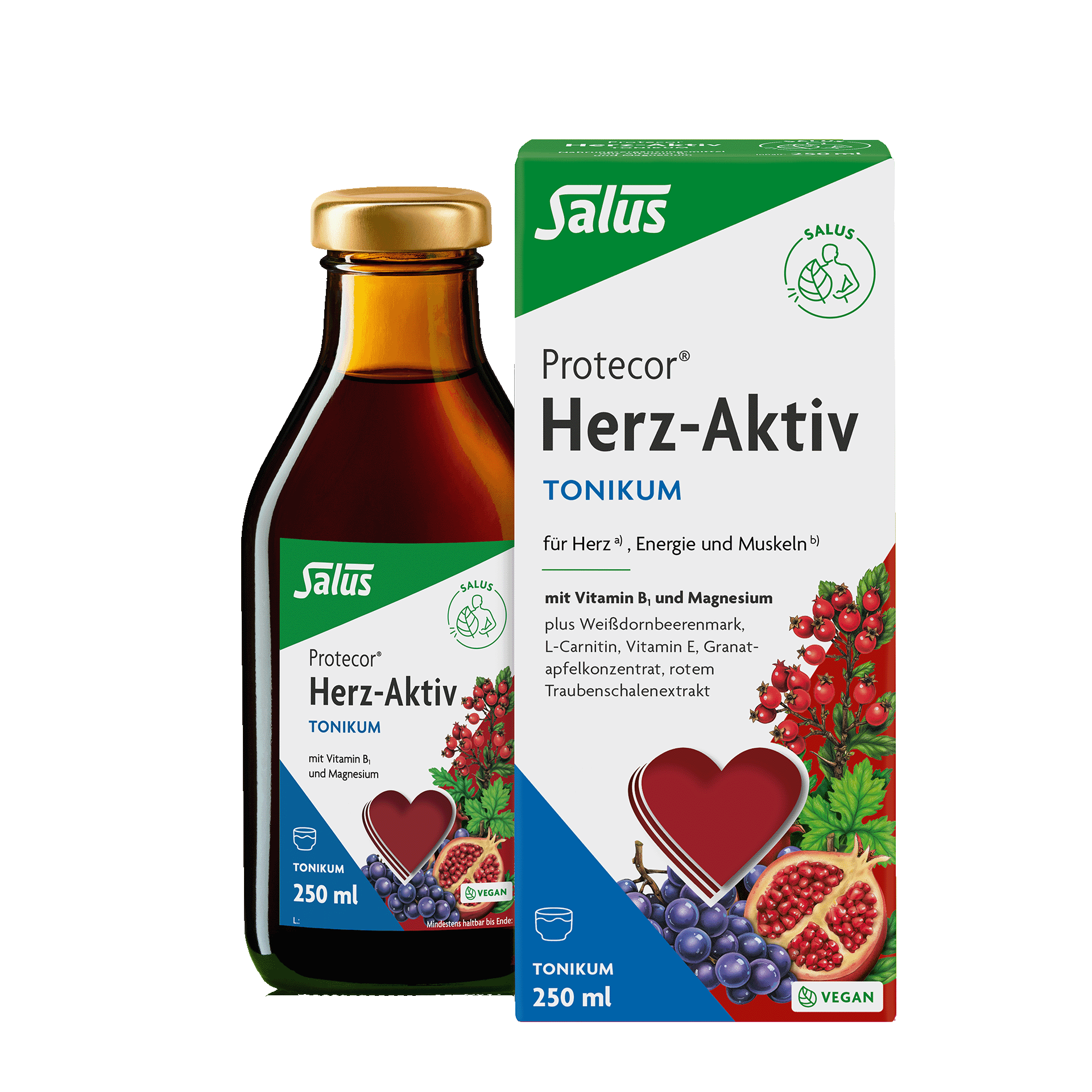 Protecor Herz-Aktiv Spezial Tonikum, 250 ml Protecor Herz-Aktiv Spezial Tonikum, 250 ml