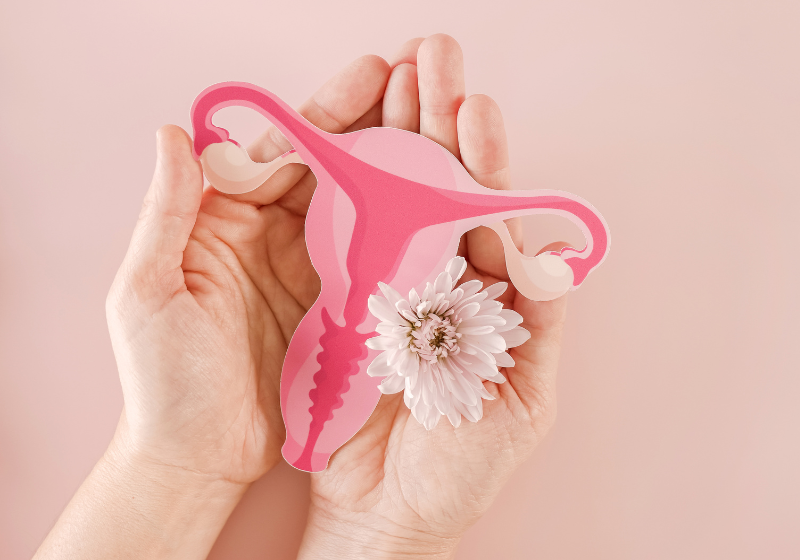 Gebastelter Uterus mit händen gehalten