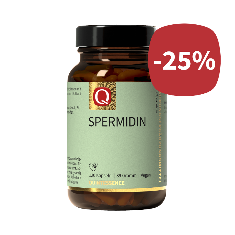 spermidin
