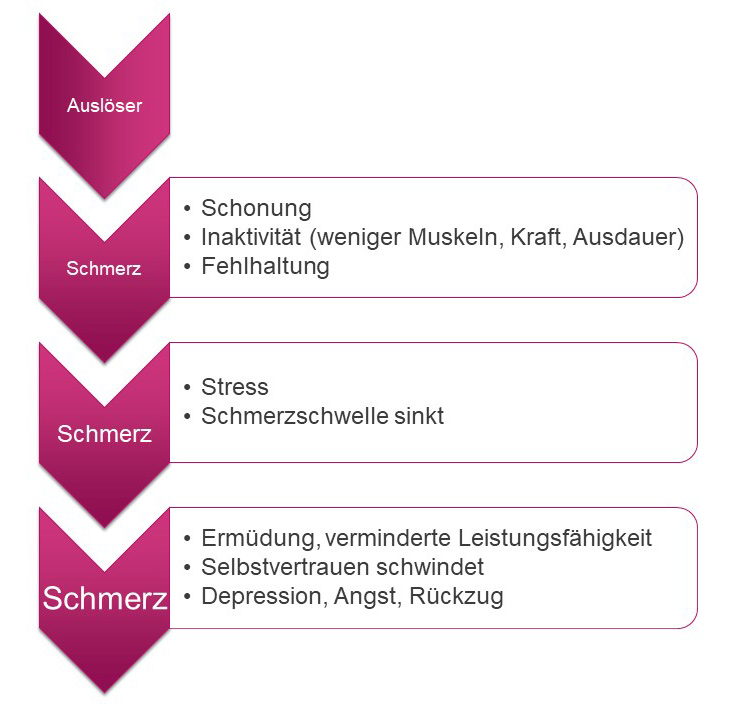 grafik die rückenschmerz ursachen erklärt