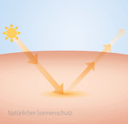 Astaxanthin als natürlicher Sonnenschutz 