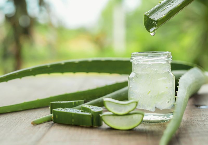 Aloe Vera Pflanze und Glas mit Aloe vera gel