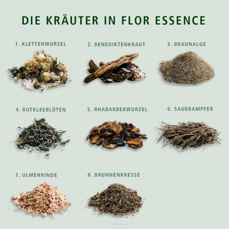 Flor Essence Kräutermischung, 3 x 21 g